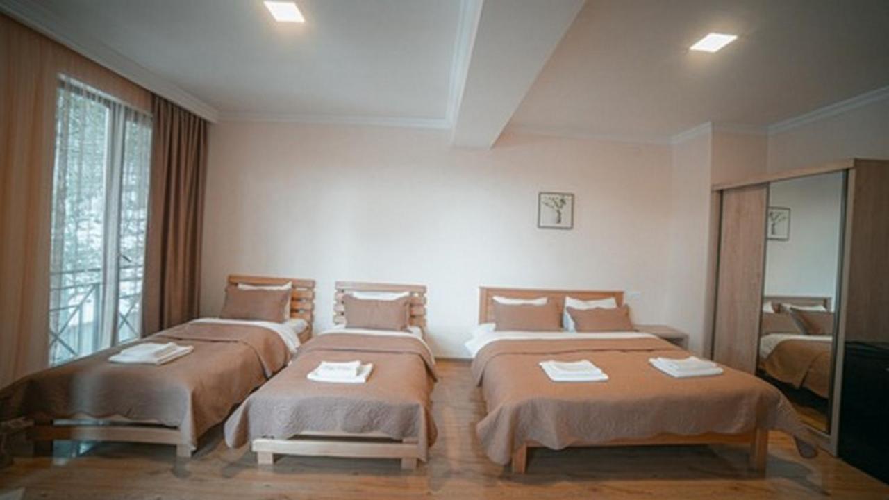 Hotel Surami Exterior photo